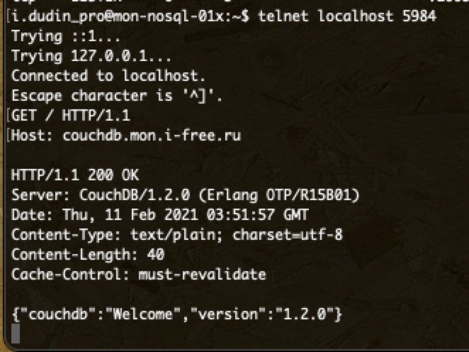 Terminal_2021-02-11-06-52-39.png